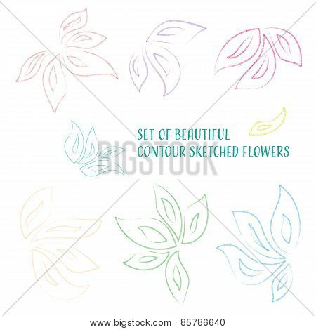 Contour Sketched Flowers