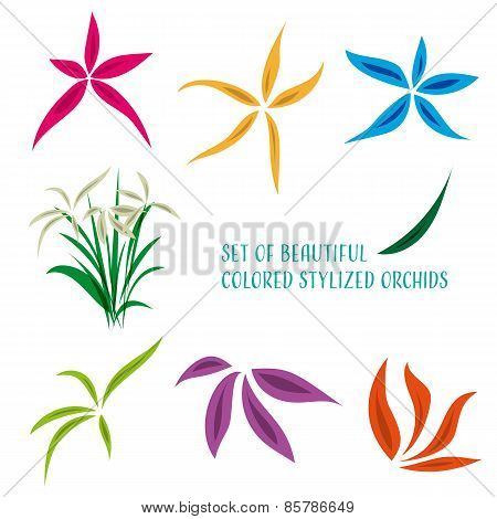Stylized Flowers