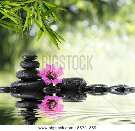 Black stone and hibiscus with bamboo on the water