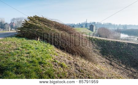 Dutch Landscape At The End Of The Winter Season