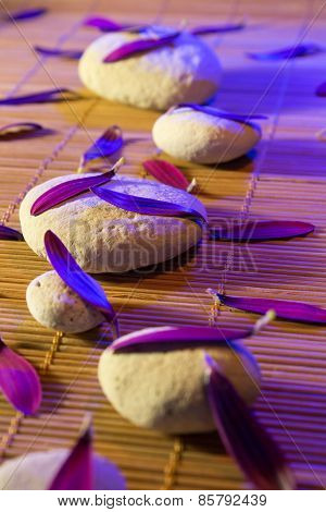 White stones e purple petals vertical