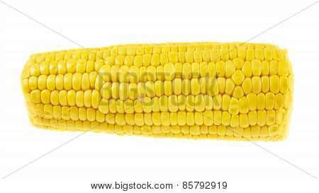 Cornstick corn on the cob isolated