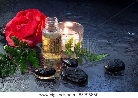 camellia oil , black stones , fern and candle