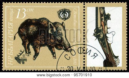 Vintage  Postage Stamp. Boar..