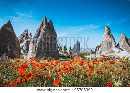 Rock formations and red flowers of Cappadocia in Central Anatolia Turkey
