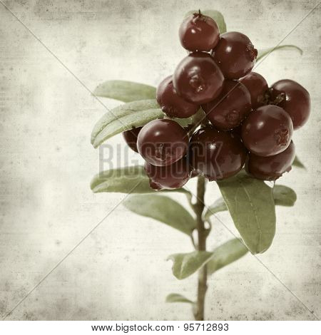 Textured Old Paper Background