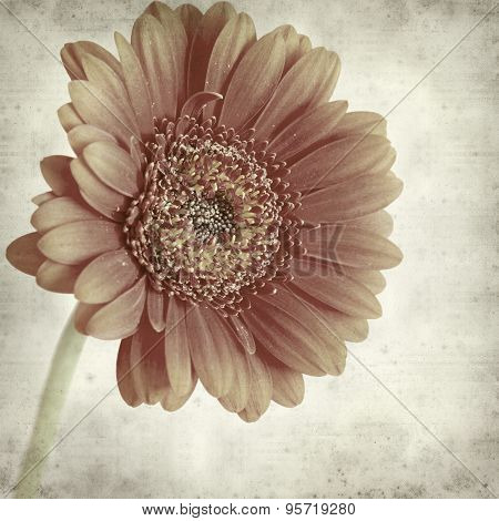 Textured Old Paper Background