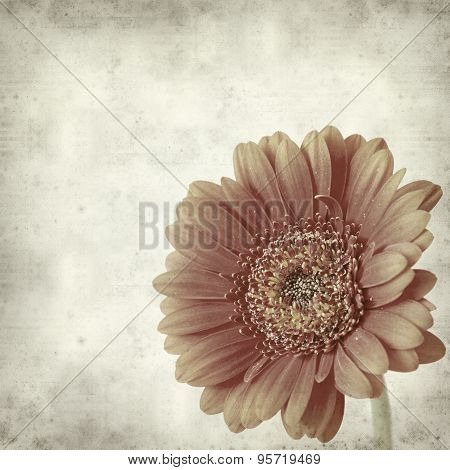 Textured Old Paper Background