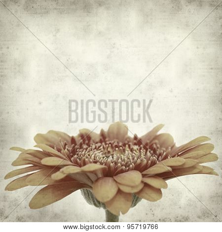 Textured Old Paper Background