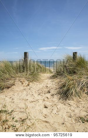 Lovely Sand Dunes And Beach Landscape On Sunny Summer Day