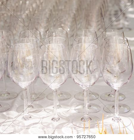 Wine Tasting. Glasses