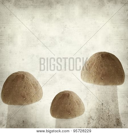 Textured Old Paper Background