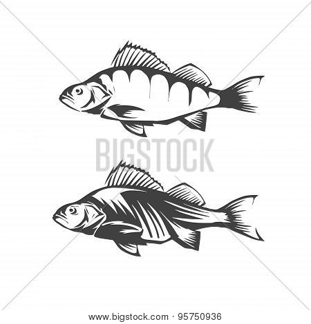 Vector Fish