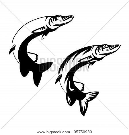 Vector Fish2