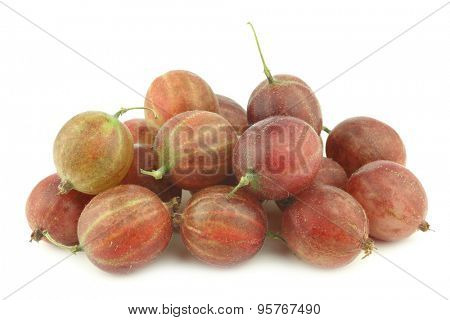 gooseberries (Ribes uva-crispa) on a white background