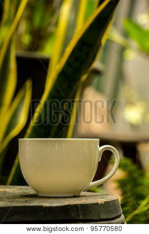 Cup Of Coffee