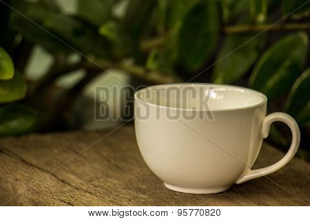 Cup Of Coffee
