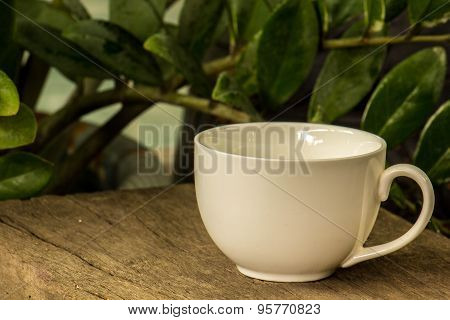 Cup Of Coffee