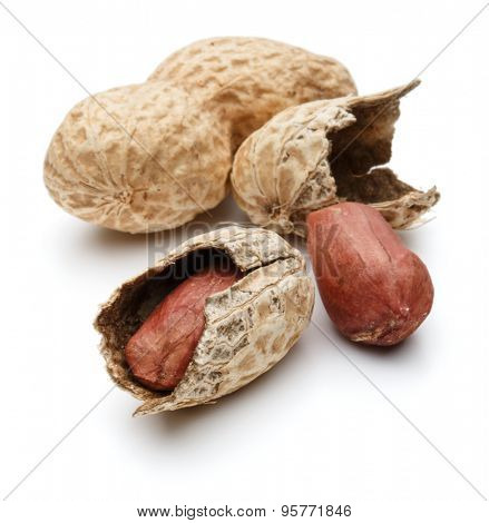 peanut pod or arachis isolated on white background cutout