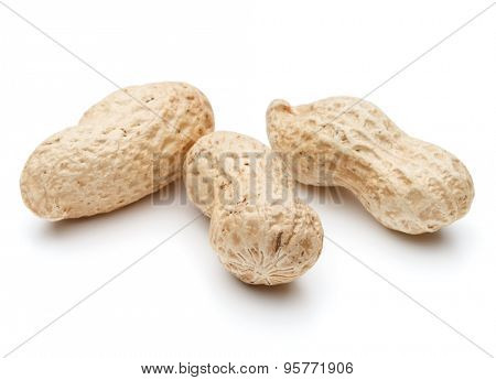 peanut pod or arachis isolated on white background cutout
