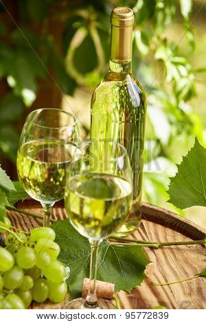 Bottle of white wine with wineglass and grapes on garden terrace