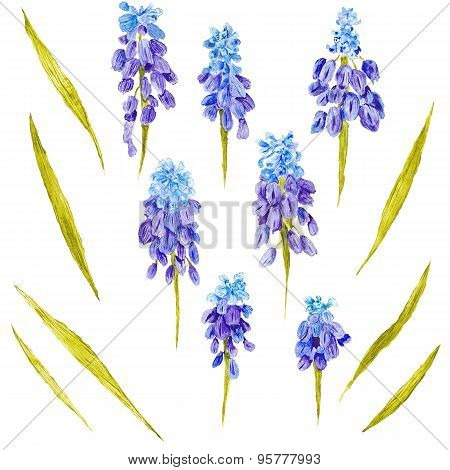 Watercolor Flowers Set