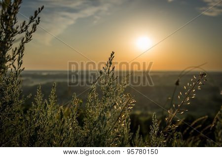 Sunrise in the summer