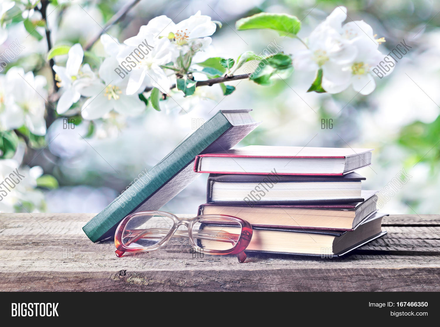Pile Books Glasses Image & Photo (Free Trial) Bigstock