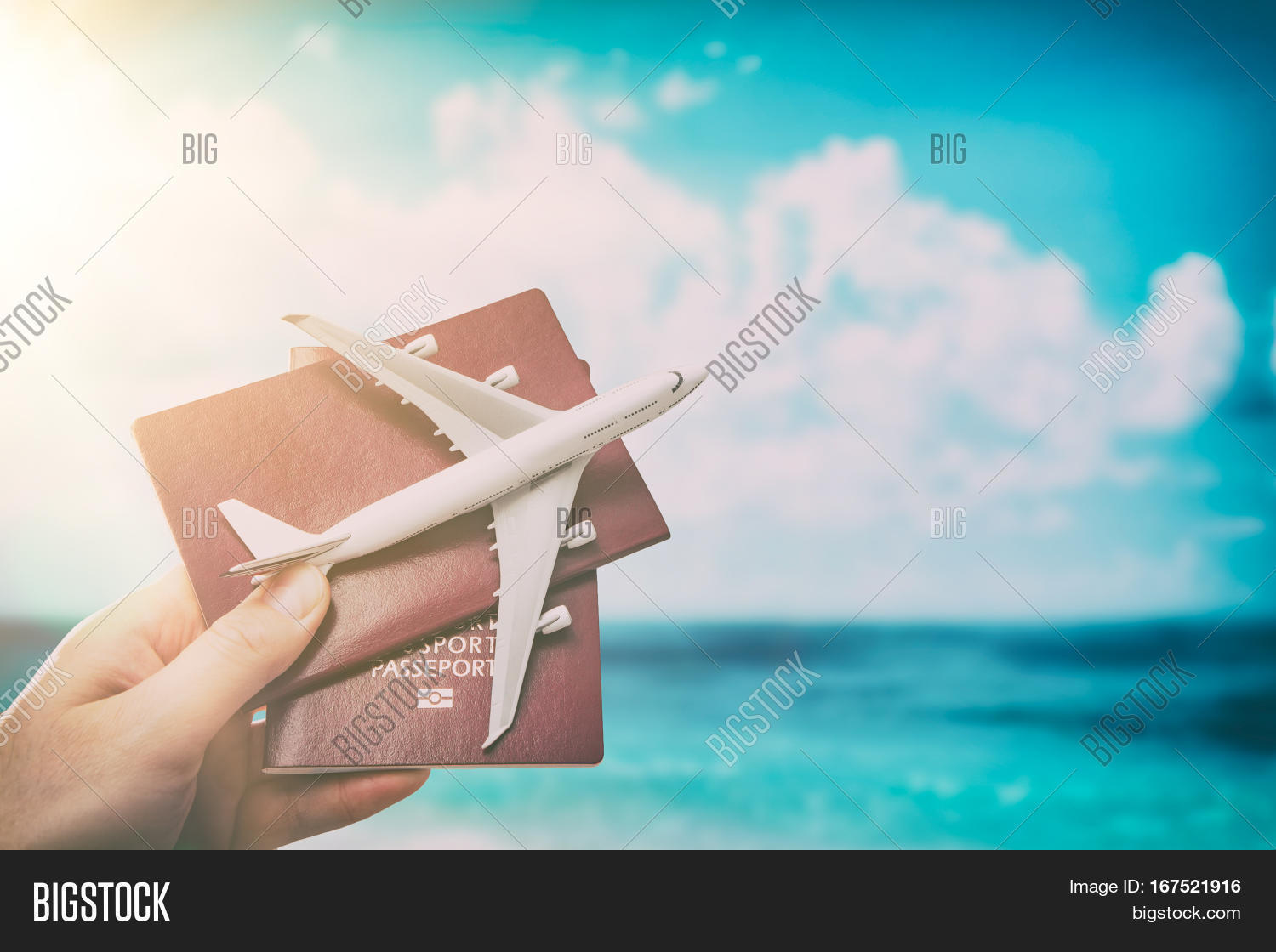 Airplane Passport Image & Photo (Free Trial) Bigstock