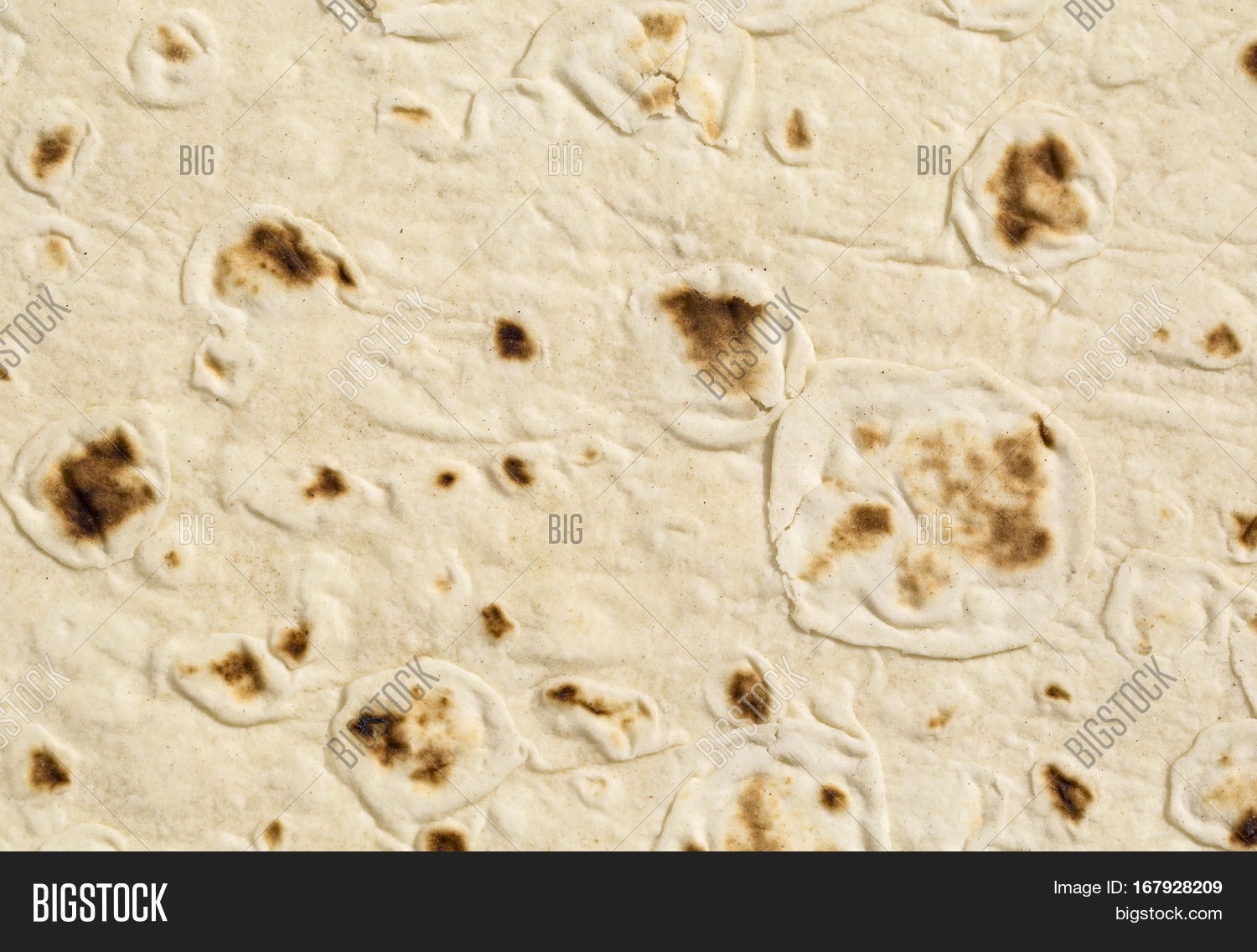 Tortilla Shell Texture Tortilla Wrap Image & Photo (Free Trial) | Bigstock