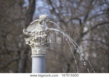 Royal gardens of the palace of aranjuez in madrid, spain