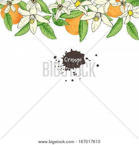 Fruit frame with isolated hand drawn oranges and flowers in sketch style. Design for invitation wedding or greeting cards. Vector illustration.