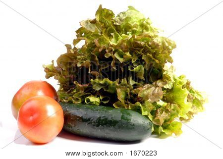 Insalata