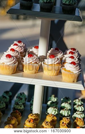 Cupcakes wait on a dessert table at reception