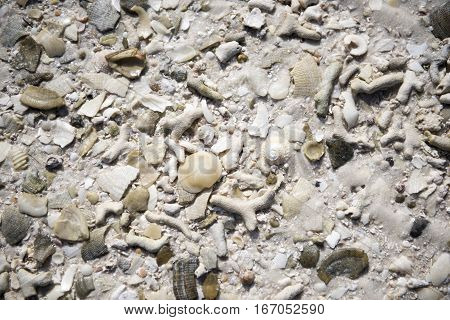 Boca Chita Key at Biscayne National Park