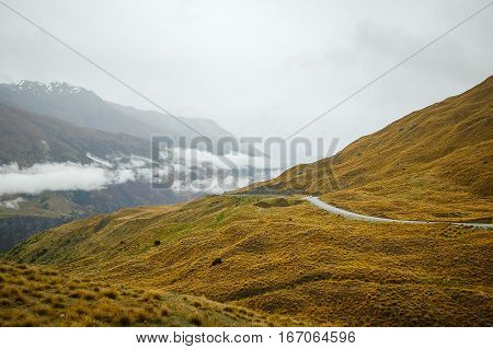 Road over the rolling hills towards Arrowtown on the South Island of New Zealand