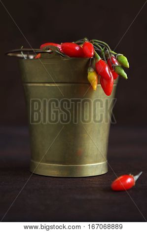 fresh healthy goji berries in front of a brown wooden background