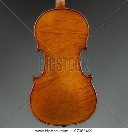 Stringed Musical Instrument a violin on a white - grey background.