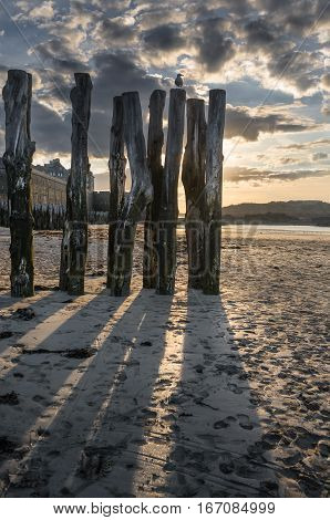 Shadows of tree trunks breakwater on sandy beach in Saint-Malo, Bretagne France
