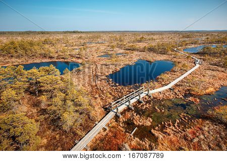 Big swamp wetlands Kemeri national park, Latvia. Travel concept