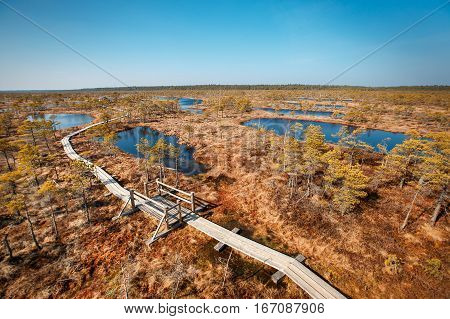 Big swamp wetlands Kemeri national park, Latvia. Travel concept