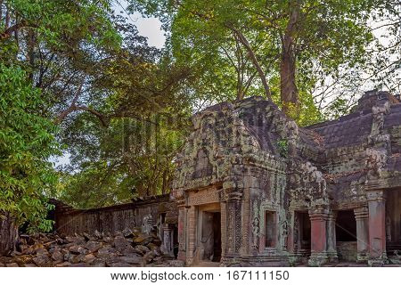 Roots cover the ruin walls of Ta Prohm Temple, Angkor Historical Park, UNESCO World Heritage, Cambodia.