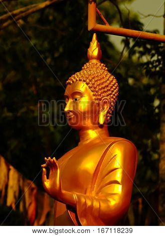 Golden Buddha statues with a wall covered by moss outside of a temple in Thailand