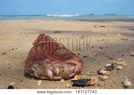Many fish species are included in mesh bags on the beach.