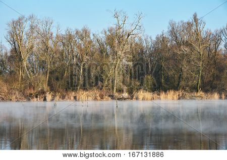 Fog on the river. Frosty morning. Frosted tree.