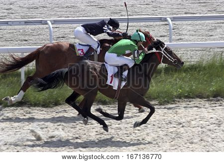 Horse race for the traditional prize Letni in Pyatigorsk,the largest in Russia.