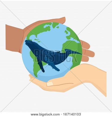 Blue Whale Illustration