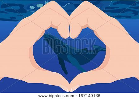 Blue Whale Illustration