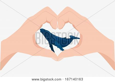 Blue Whale Illustration