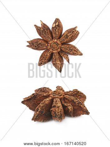 Single Chinese star anise seed isolated over the white background, set of two different foreshortenings